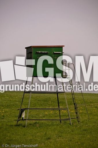 Hochstände (62 von 154).jpg